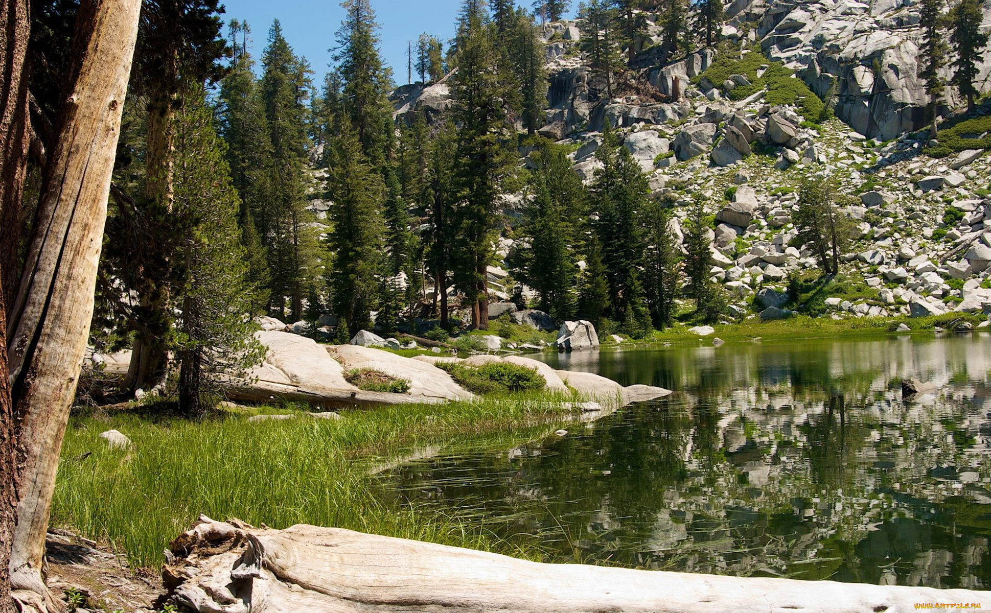 sequoia national park, , , , , park, national, sequoia, , , 